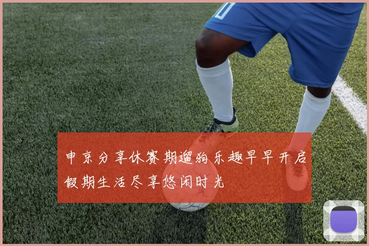 申京分享休赛期遛狗乐趣早早开启假期生活尽享悠闲时光