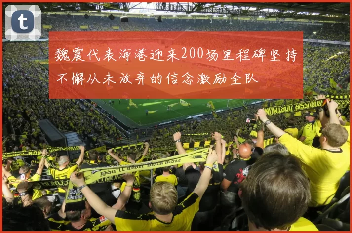 魏震代表海港迎来200场里程碑坚持不懈从未放弃的信念激励全队